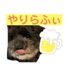愛するfamily①（個別スタンプ：5）