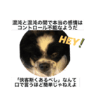 愛するfamily①（個別スタンプ：8）