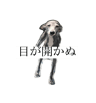リタのぬ（個別スタンプ：3）