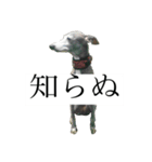 リタのぬ（個別スタンプ：9）
