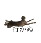 リタのぬ（個別スタンプ：11）