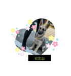 ダン＆ロック（個別スタンプ：8）