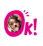 S-HSRT⭐︎（個別スタンプ：3）