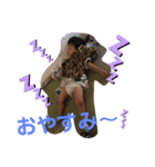 ありかさく（個別スタンプ：2）