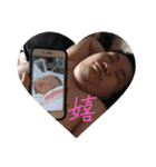 うちのすばるちゃん。(使える)（個別スタンプ：11）
