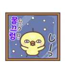 白ネコとひよこと韓国語-2弾(冬)（個別スタンプ：16）