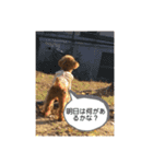 愛犬 ことちゃん（個別スタンプ：1）
