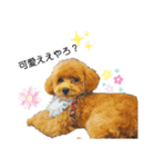 愛犬 ことちゃん（個別スタンプ：10）