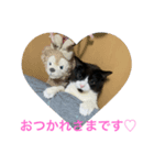 こたまるスタンプ①（個別スタンプ：3）