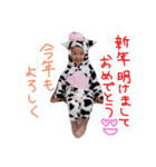 urukiちゃん5（個別スタンプ：4）
