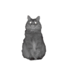 猫のムタオ2（個別スタンプ：8）