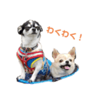 いーとつー。（個別スタンプ：1）