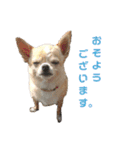 いーとつー。（個別スタンプ：2）