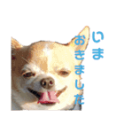 いーとつー。（個別スタンプ：3）