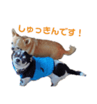 いーとつー。（個別スタンプ：5）