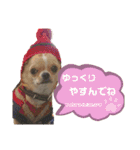 いーとつー。（個別スタンプ：13）