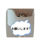 ネコたちのとの憩いの時間（個別スタンプ：15）