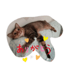 ネコたちのとの憩いの時間（個別スタンプ：18）