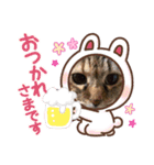 ねこ姫ちゃん（個別スタンプ：1）