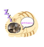 ねこ姫ちゃん（個別スタンプ：4）