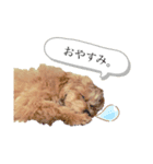 ミルしゃん可愛い（個別スタンプ：2）