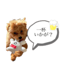 ミルしゃん可愛い（個別スタンプ：7）