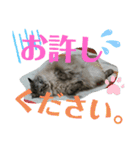 湯浅家のスタンプ5（個別スタンプ：3）