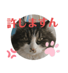 湯浅家のスタンプ5（個別スタンプ：4）