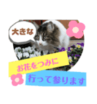 湯浅家のスタンプ5（個別スタンプ：10）