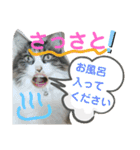湯浅家のスタンプ5（個別スタンプ：14）