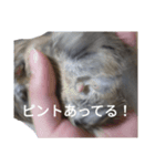 デさん＆ミさん（個別スタンプ：5）