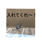 デさん＆ミさん（個別スタンプ：6）