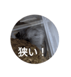 デさん＆ミさん（個別スタンプ：10）