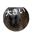 デさん＆ミさん（個別スタンプ：12）