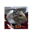 デさん＆ミさん（個別スタンプ：13）