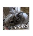 デさん＆ミさん（個別スタンプ：15）