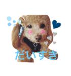 ここまる先生1（個別スタンプ：1）