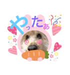 ここまる先生1（個別スタンプ：5）