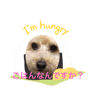 ここまる先生1（個別スタンプ：7）