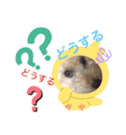 ここまる先生1（個別スタンプ：9）