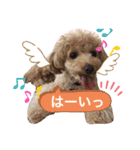 ここまる先生1（個別スタンプ：11）