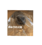 ジルくんのスタンプ jill LINE stamps（個別スタンプ：14）