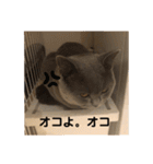 ジルくんのスタンプ jill LINE stamps（個別スタンプ：18）