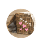 ジルくんのスタンプ jill LINE stamps（個別スタンプ：27）