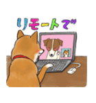 あざとかわいい柴犬こたろうの冬2020（個別スタンプ：2）