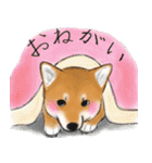 あざとかわいい柴犬こたろうの冬2020（個別スタンプ：22）