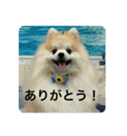 可愛すぎて泣けるスタンプ（個別スタンプ：2）