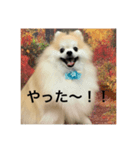 可愛すぎて泣けるスタンプ（個別スタンプ：3）