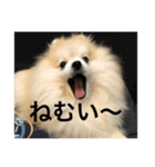可愛すぎて泣けるスタンプ（個別スタンプ：5）
