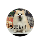可愛すぎて泣けるスタンプ（個別スタンプ：8）